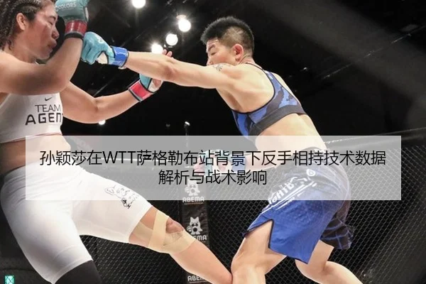 sun-ying-sha-zai-sa-ge-lei-bu-zhan-bei-jing-xia-fan-shou-xiang-chi-ji-shu-shu-ju-jie-xi-yu-zhan-shu-ying-xiang-2-605.jpg