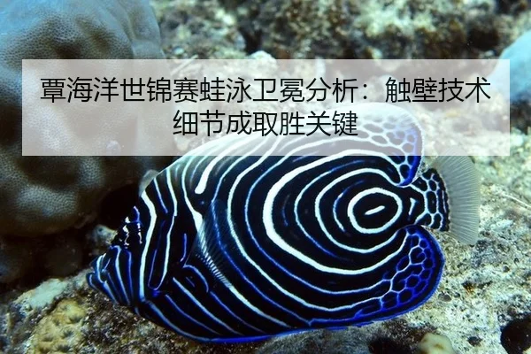 tan-hai-yang-shi-jin-sai-wa-yong-wei-mian-fen-xi-chu-bi-ji-shu-xi-jie-cheng-qu-sheng-guan-jian-3-891.jpg